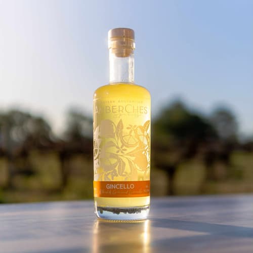 Gincello Gin 500ML