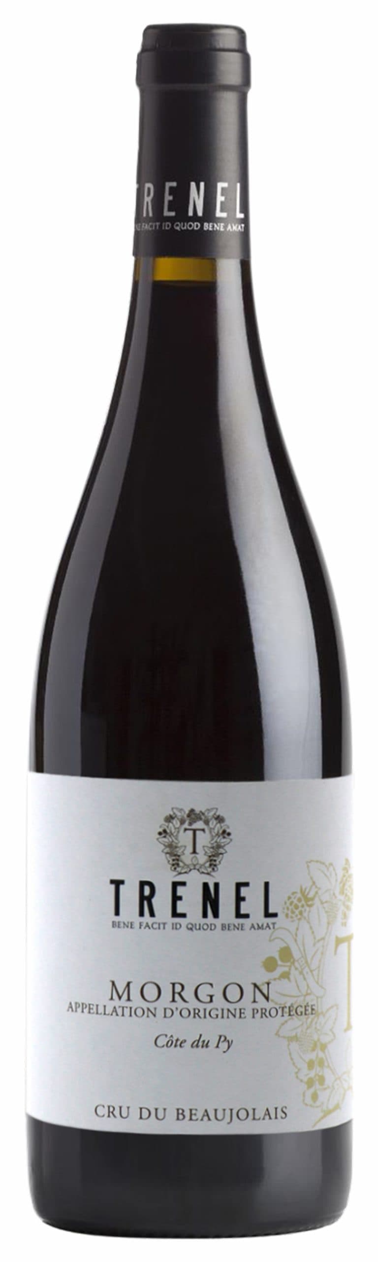 Trenel Morgon Cote du py 2023 Gamay